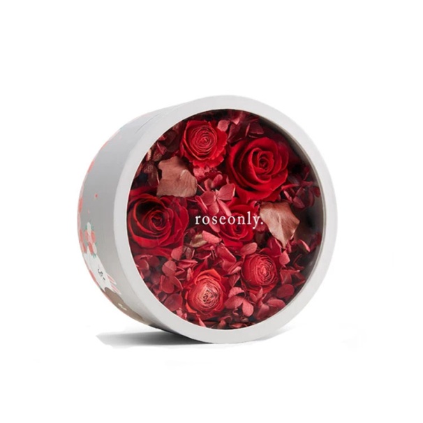 beautiful window boxes