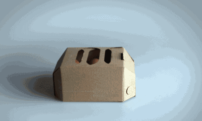 100.gif